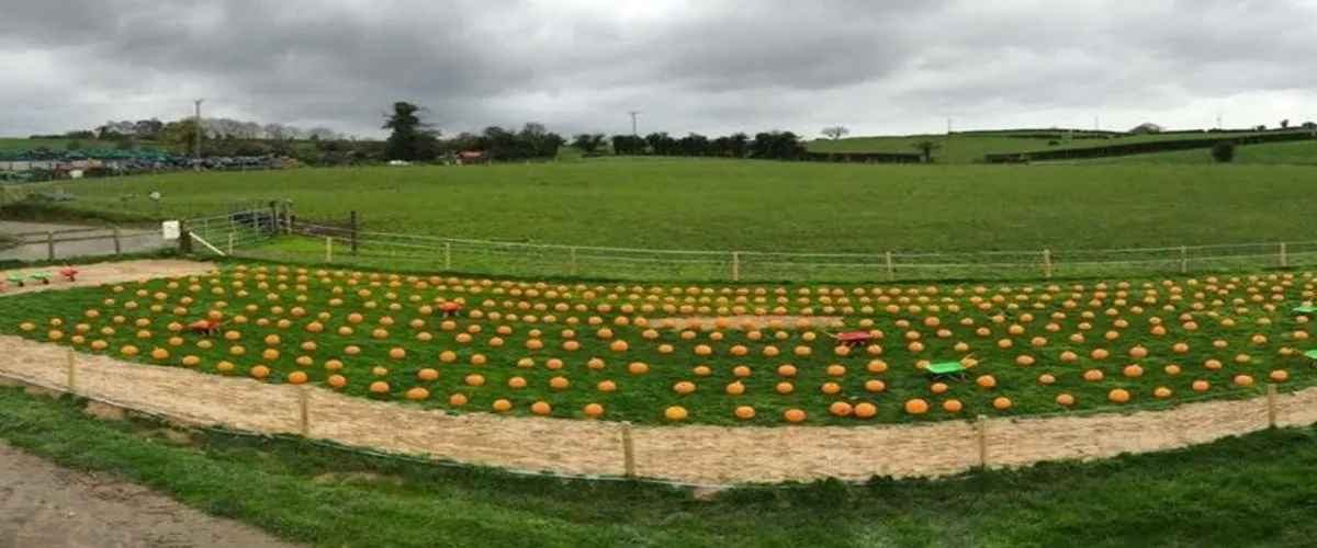 Foto 2 Streamvale Open Farm