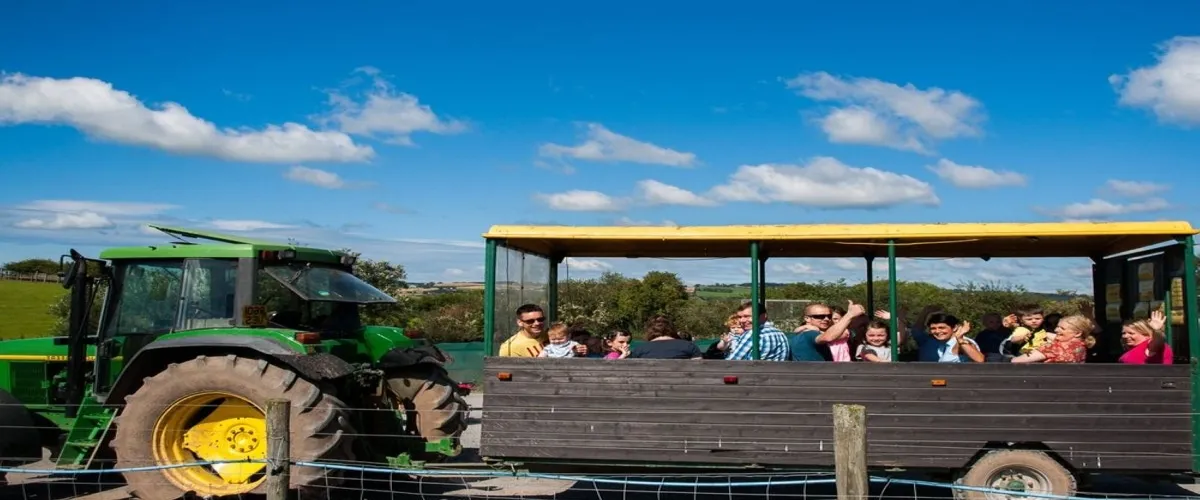 Foto 4 Streamvale Open Farm