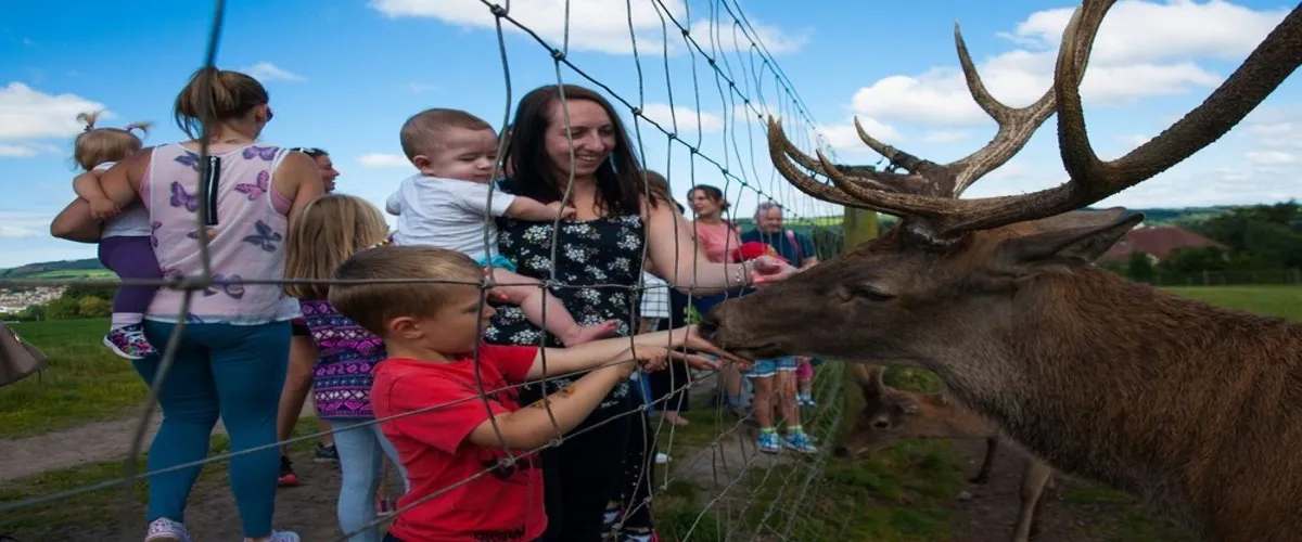 Foto 5 Streamvale Open Farm