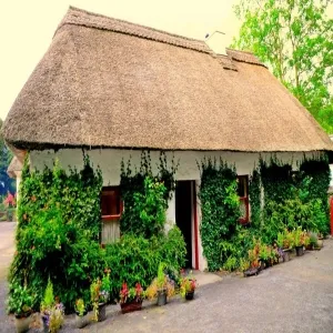 Foto de Rathbaun Farm