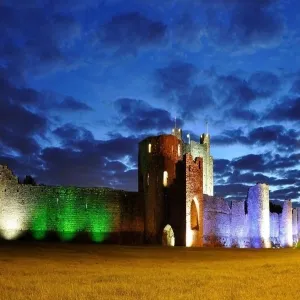 Foto de Trim Castle