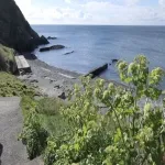 Foto 3 Bray Head Cliff Walk